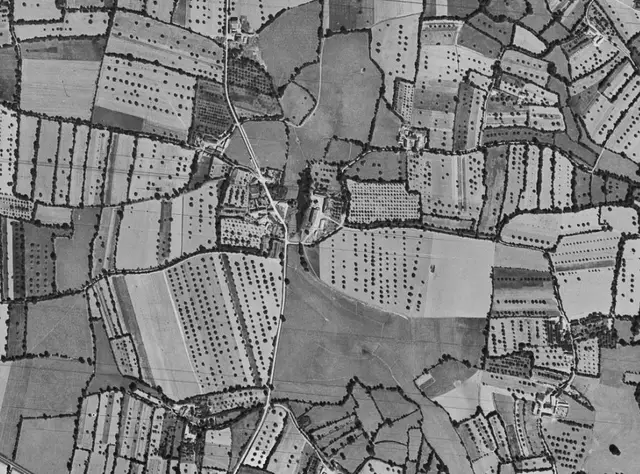 Vue aérienne en noir et blanc du 13 août 1949 : le bourg de Chaumeré entouré de parcelles plantées de pommiers en rangs réguliers